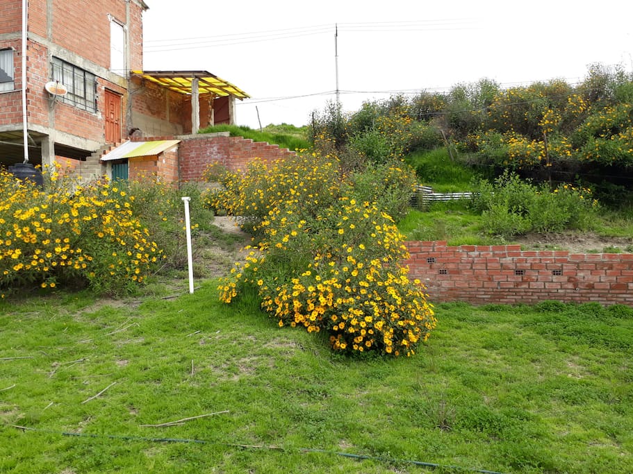 Amplio espacio y jardines