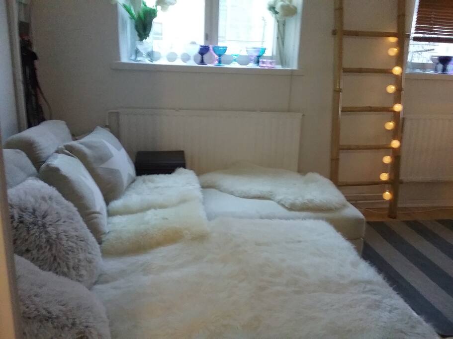 Big couch. If you prefer to sleep on the couch instead of the loft bed, just put the extra madress from the closet on the couch.