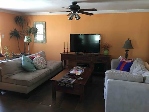 Top performing Airbnb: South Austin Casa Sparkling clean/super cute. in South Manchaca