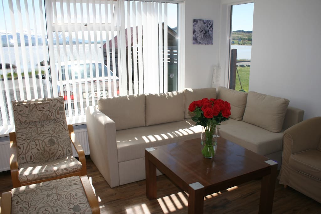 Living room / sleeping sofa for two
