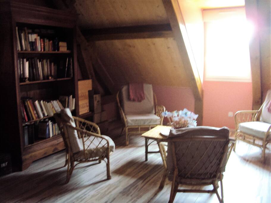 Le salon bibliothèque et jeux