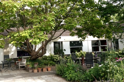 Dordrecht house near the Catalpa