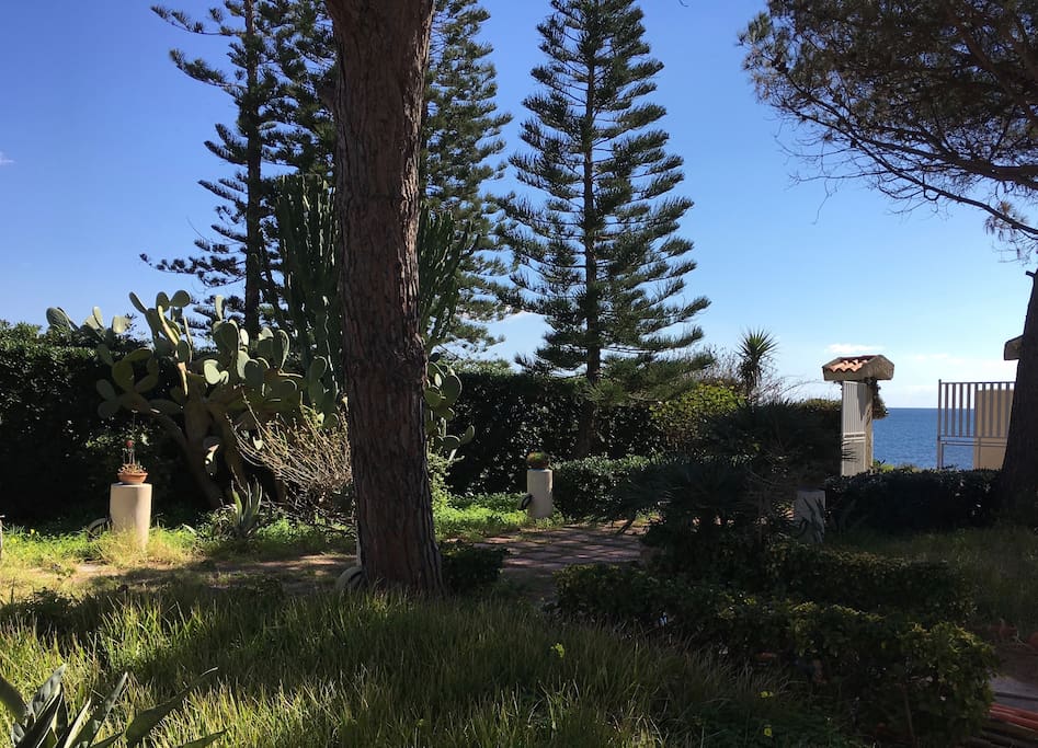 Il giardino