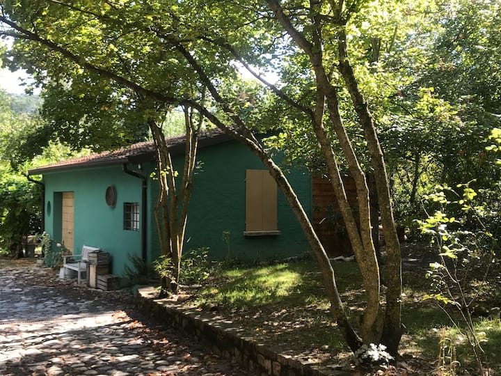 A house with every comfort surrounded by greenery