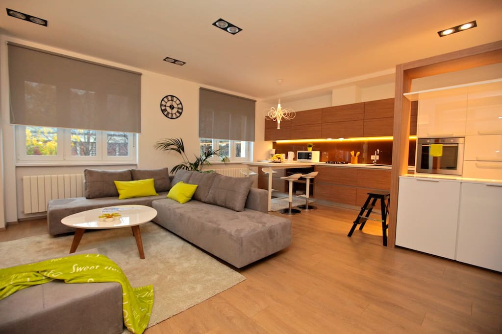 Apartment open space (40 m2) (Deluxe Cubo Maksimir 2-near centre)