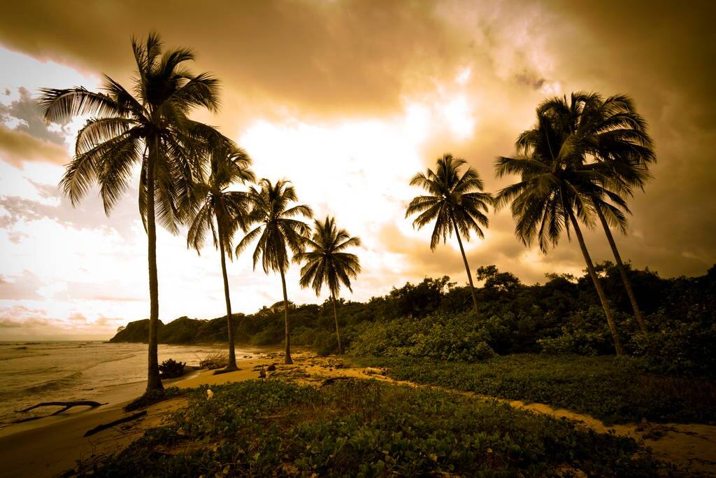 Where the beach is a protected 4 mile stretch of white sand