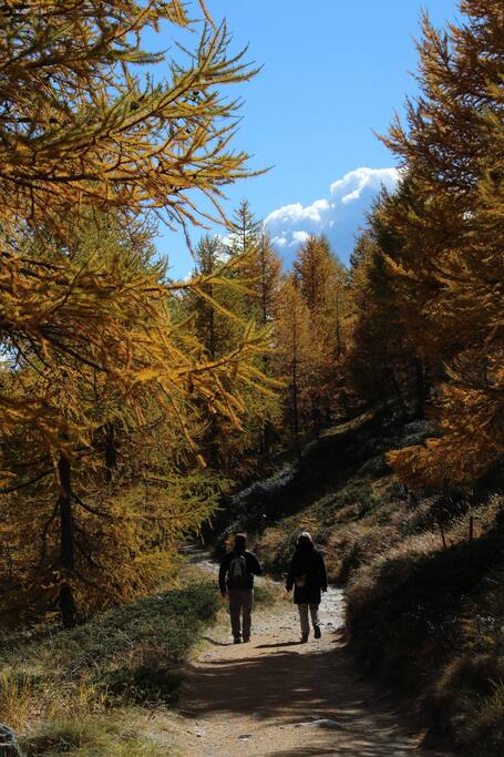 leaf fall hiking
