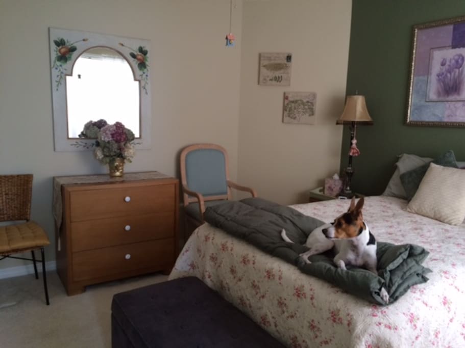Same Bedroom