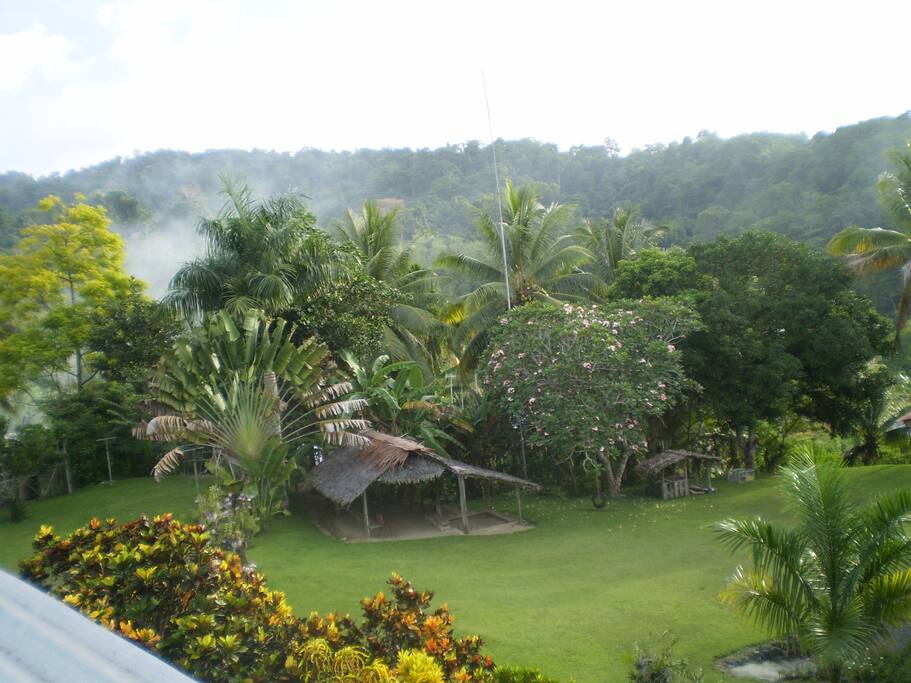 There are a large variety of trees, flowers and other vegetation.