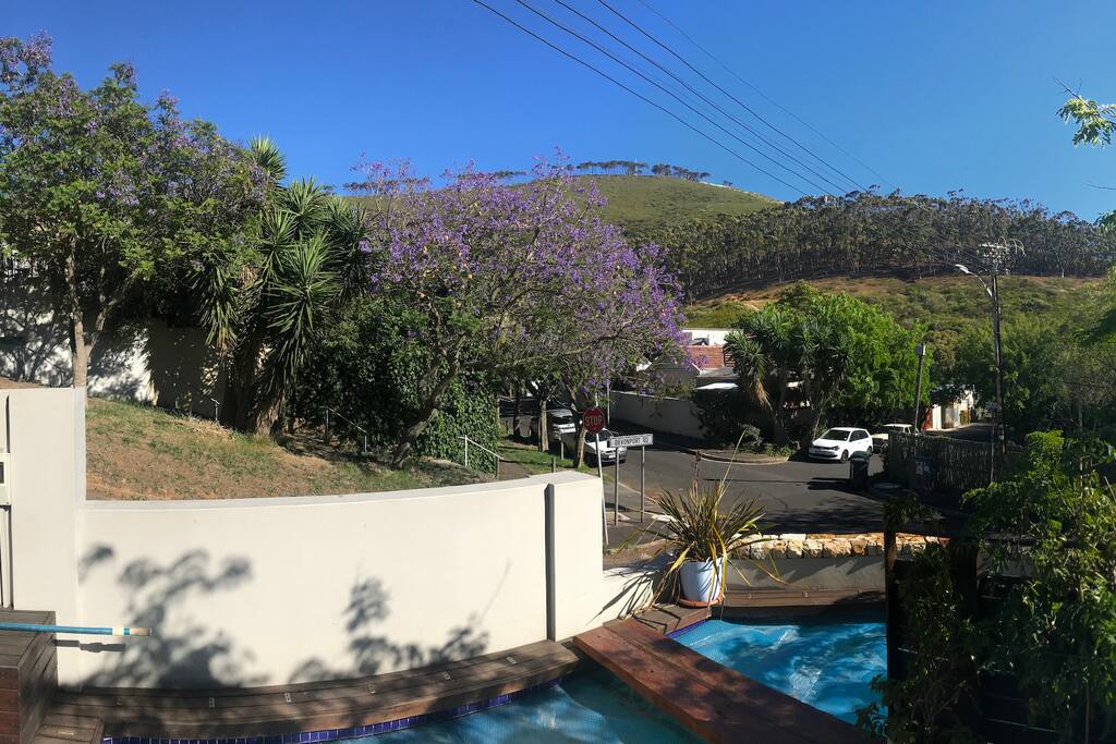 View on Signal Hill from the patio/pool area