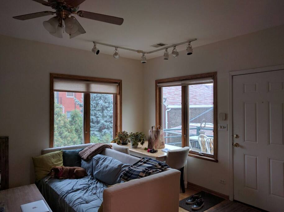 Living room and outdoor view. Dog not included ;)