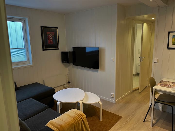 Cosy and downtown apartment. Apartments for Rent in Trondheim