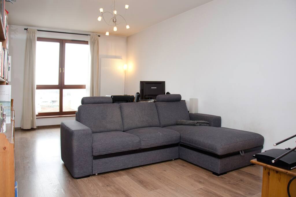 living room and the convertible couch
