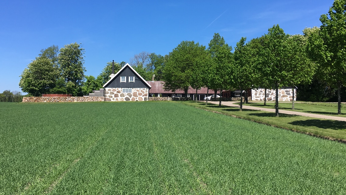 A charming countryside property is set against a clear blue sky, featuring a lush green field in the foreground. The structure showcases a mix of stone and wood elements, surrounded by tall trees that provide shade and enhance the natural beauty of the landscape.