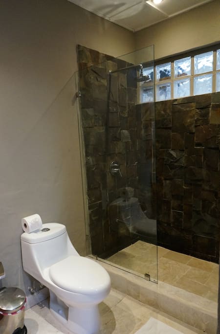 the bathroom shower