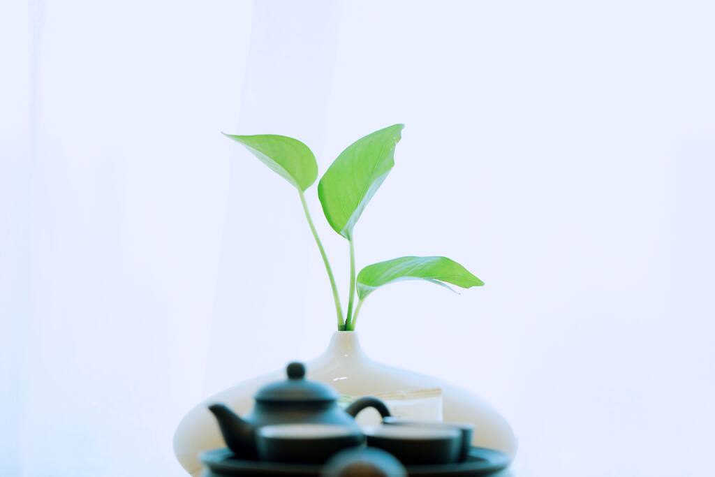 吃茶