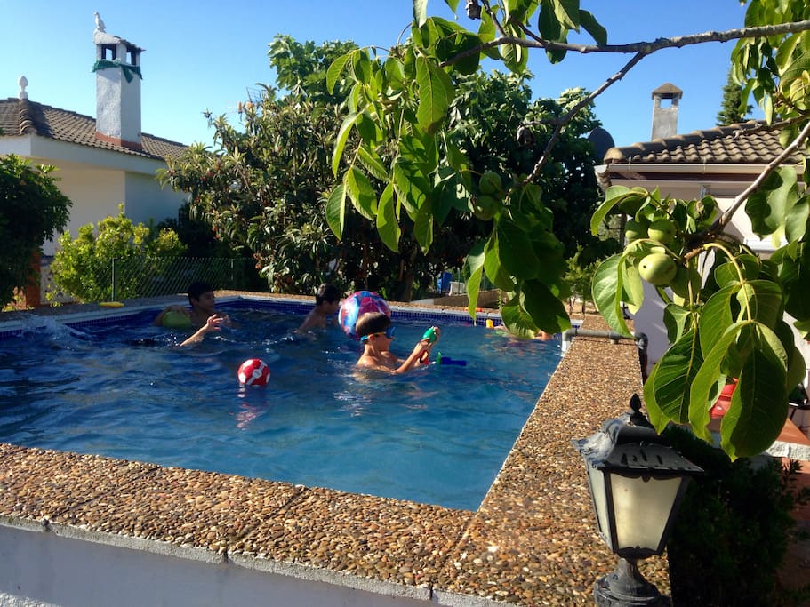 piscina/pool