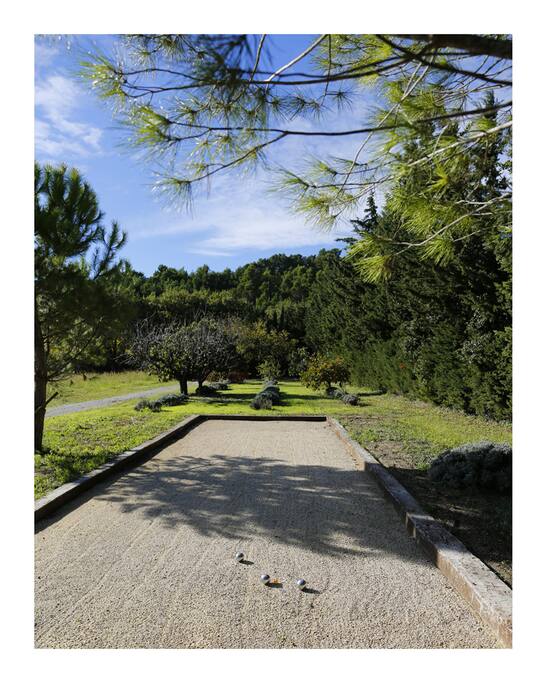 pétanque pitch