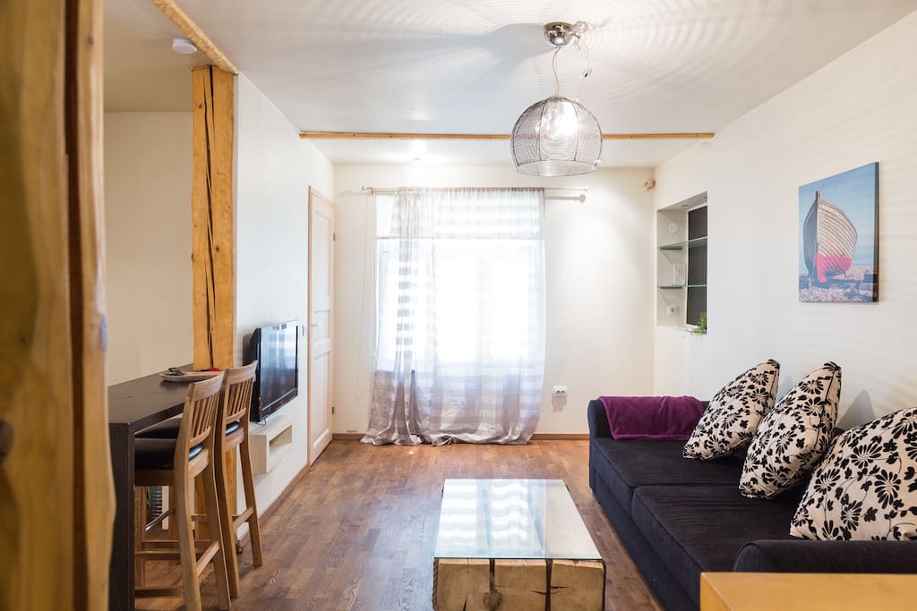 Living room & pull-out sofa