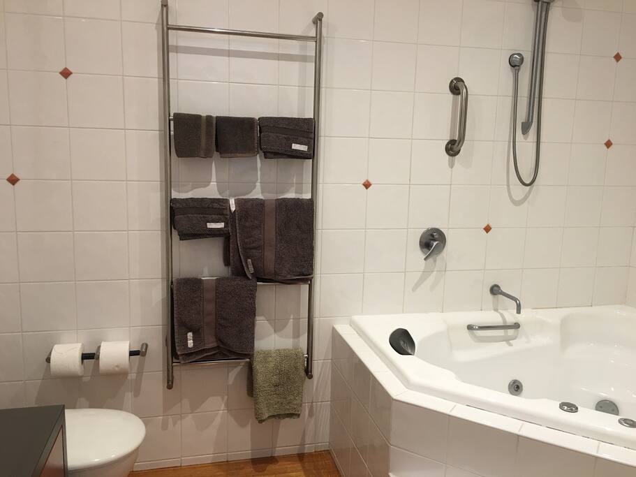 Twin spa
Shampoo conditioner body wash all provided