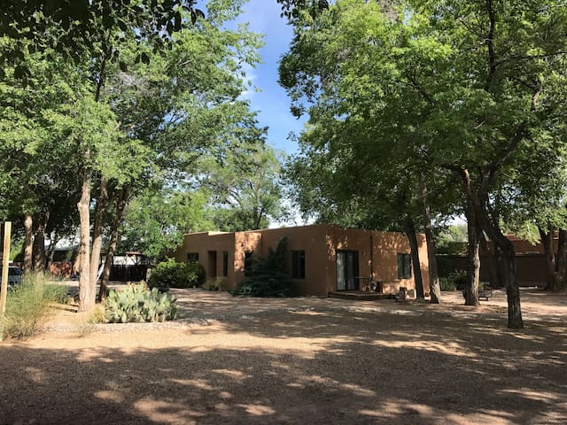 Vintage Family Home In Old Albuquerque Houses For Rent In