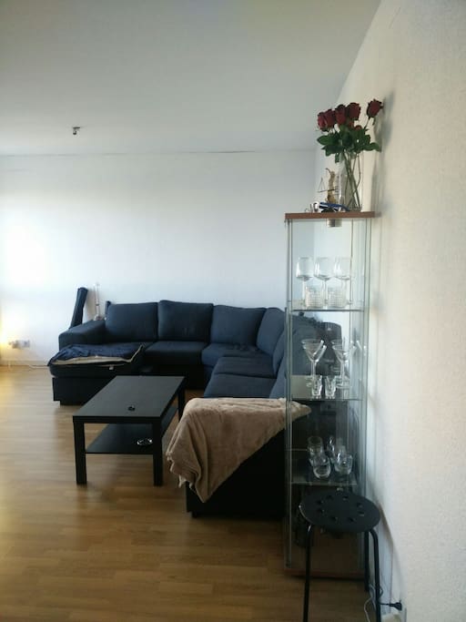 Living room with sofa (bed for two).