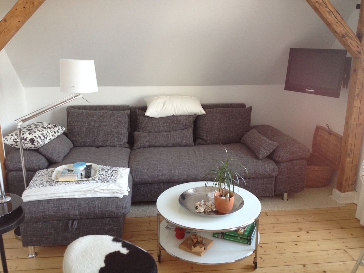 Successful Airbnb property: Vacation in the house Detine in Borkum