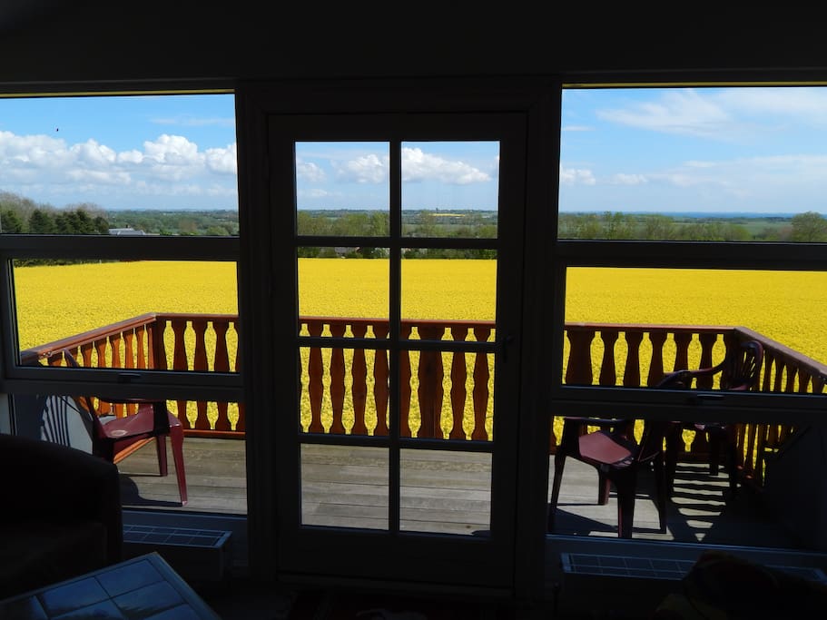 The view from your living area, onto the balcony, and beyond! On good days you can see the water both by Marstal (to the right) and to the left by Nevrestien, the path that runs close to the house and into Aeroeskoebing. Gorgeous!