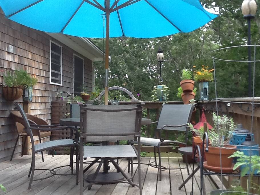 back deck