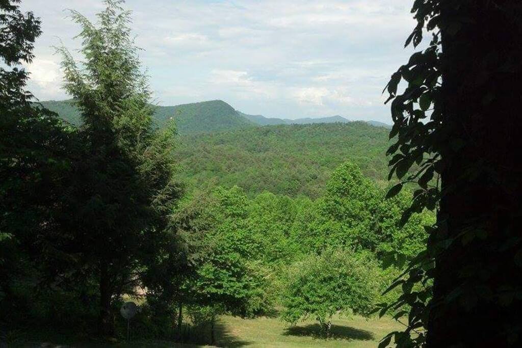 View from covered front porch