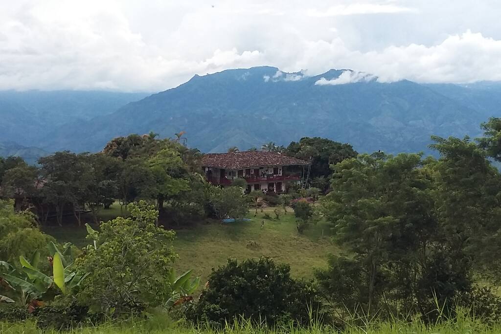 De lejos