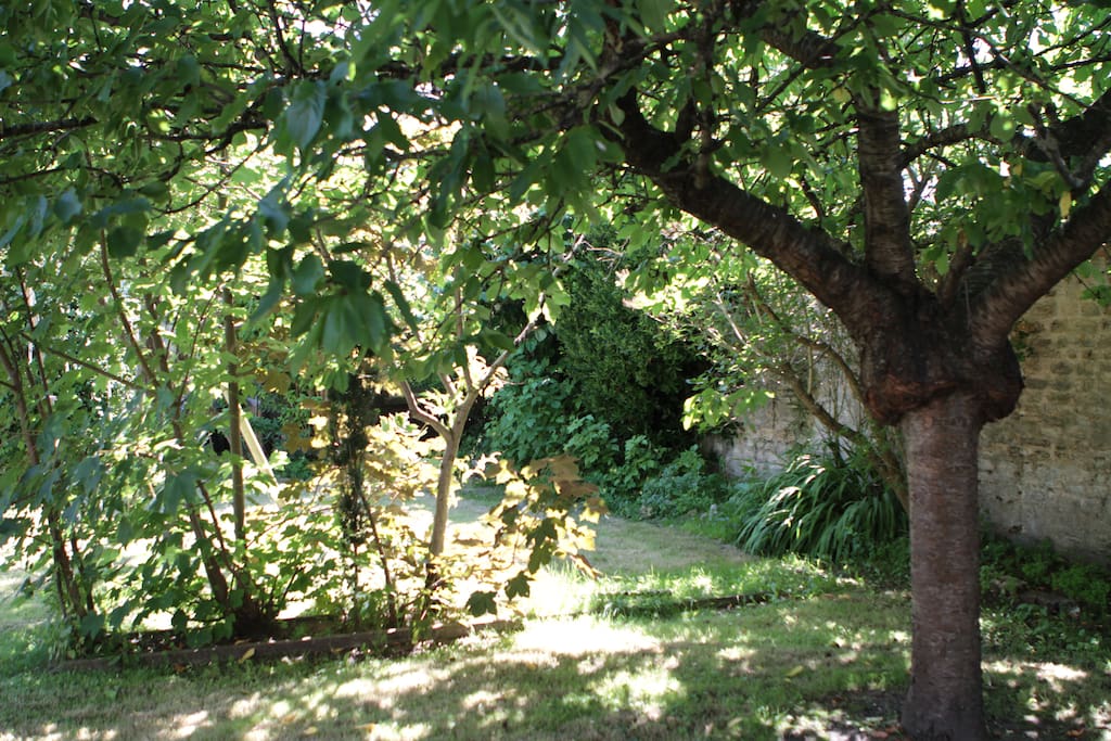 jardin très planté, ensoleillé, plein sud.