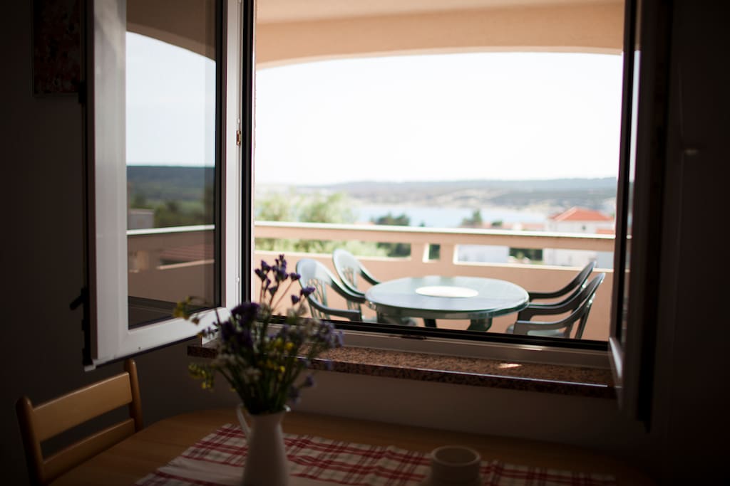 View from the dining table