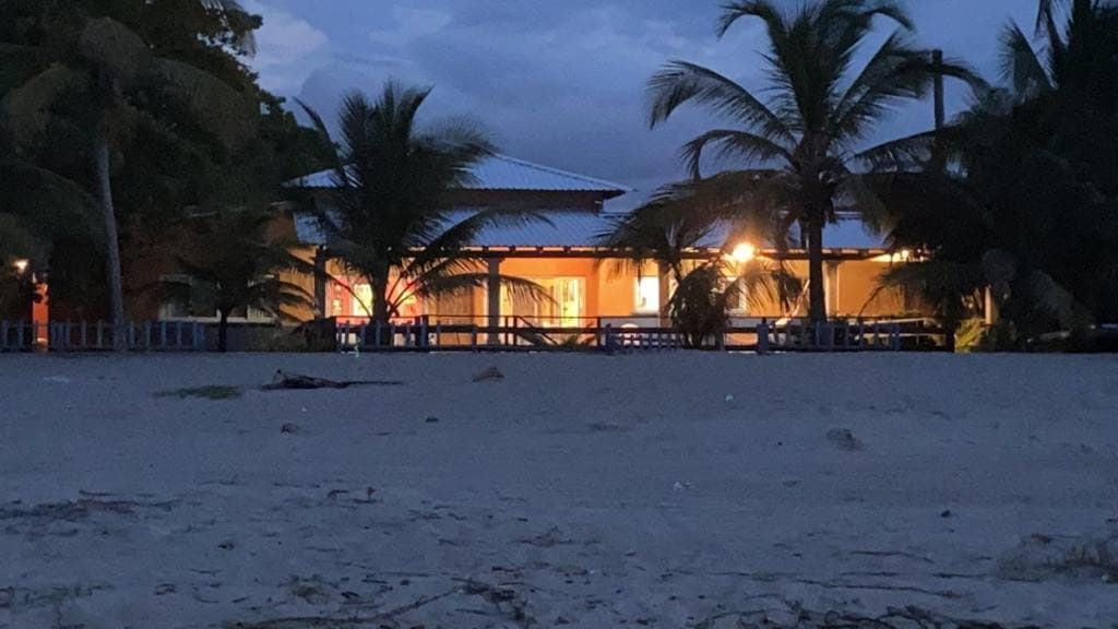 A beachfront property is showcased under the evening sky, illuminated by warm lights from the house. Palm trees frame the scene, and a sandy area leads to the structure, creating a serene coastal ambiance.