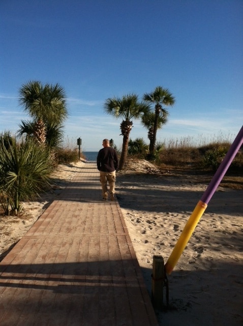 A wooden boardwalk leads through sandy terrain towards the beach, framed by lush palm trees and tall grasses. The sky is clear and blue, creating a serene atmosphere. Vibrant colors can be seen on the edge of the boardwalk, suggesting playful design elements.