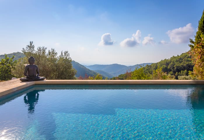 Download Hola decoracions de el partit gatet de la platja For Android Free Hola Decoracions De El Partit Gatet De La Platja