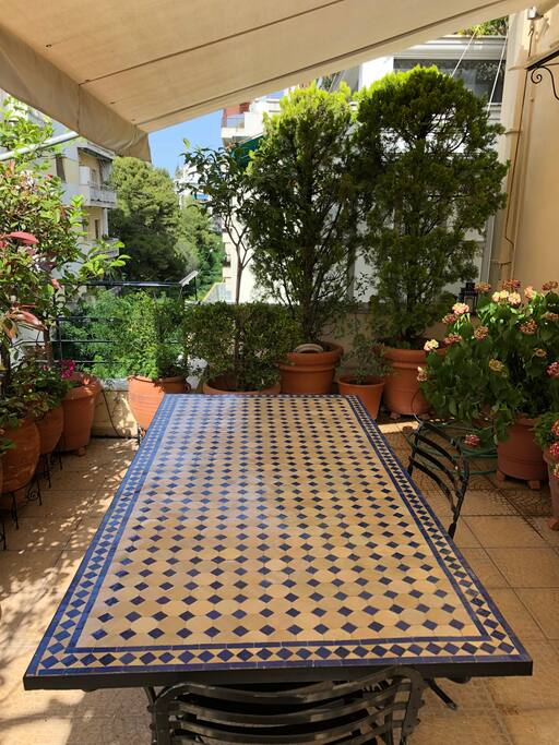 The Beautiful Terrace with flowers, olive tree, lemon trees, mint, basil etc...
