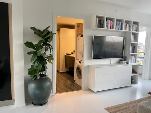 Top performing Airbnb: Unique penthouse apartment in Copenhagen in Amager Vest
