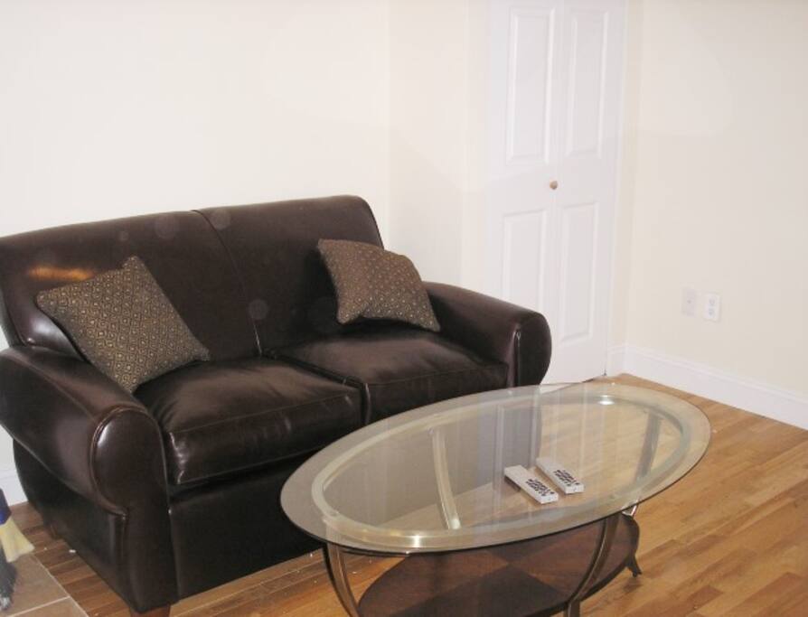 LIVING ROOM OF THE APARTMENT
