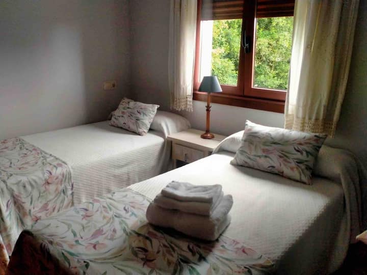 Საძინებლის ორადგილიანი საწოლები კორომების ხედებით