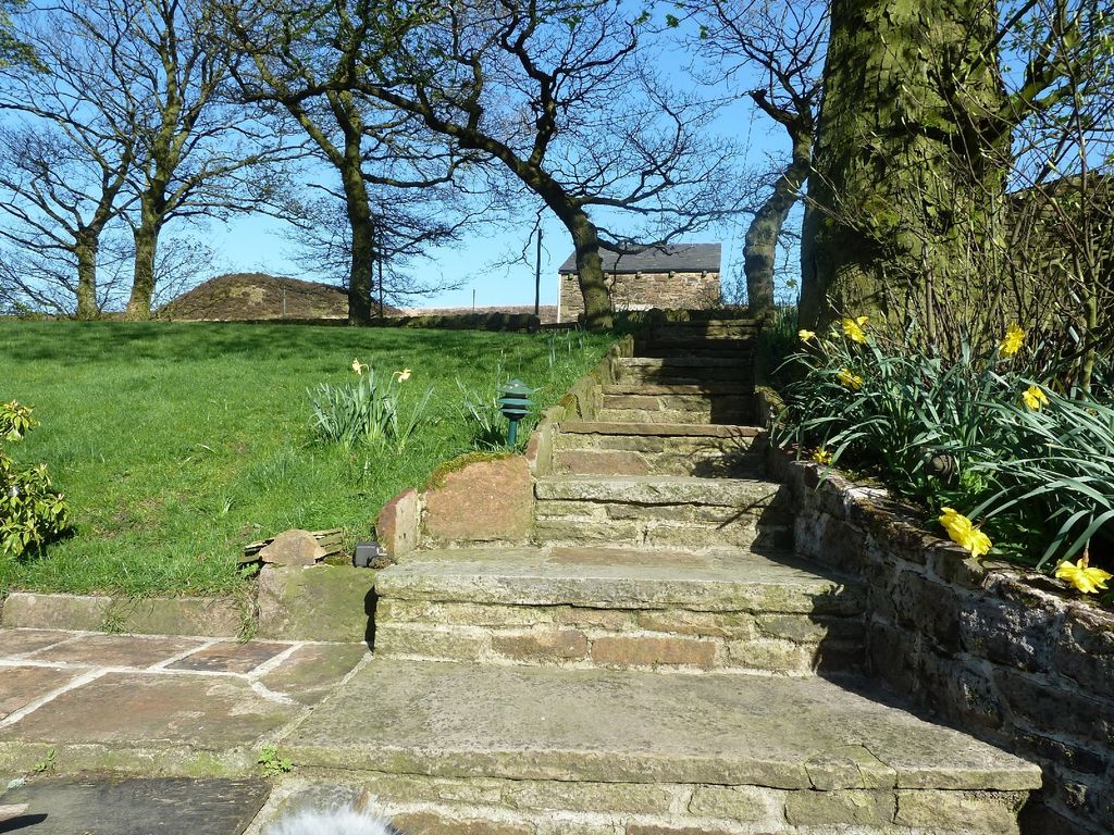 A stone staircase leads up through a greenery-filled garden, flanked by bare trees and blooming daffodils. The grassy area is visible, with a building appearing near the top of the stairs, under a clear blue sky.