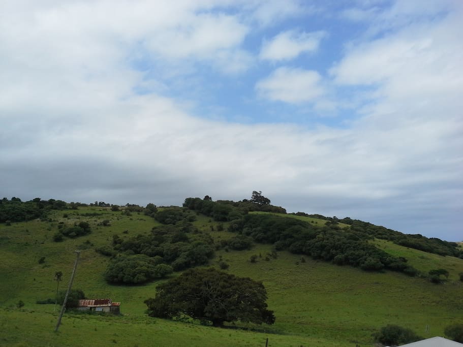 Rural views
