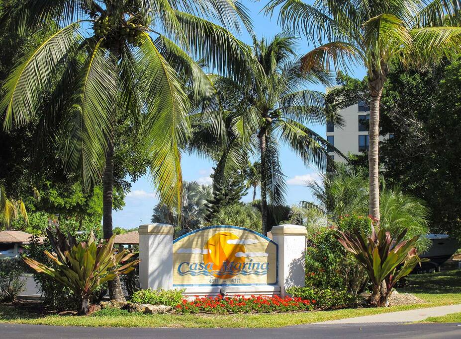 Palm Tree, Tree, Building, Hotel, Resort