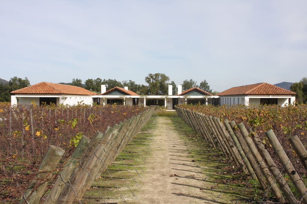 The House from the Vineyard