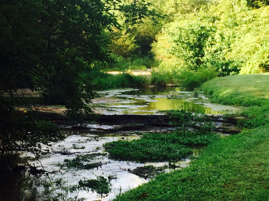 Watercress and mint grow wild along the banks of the Artisian Spring just steps from the front door of The Milk Barn