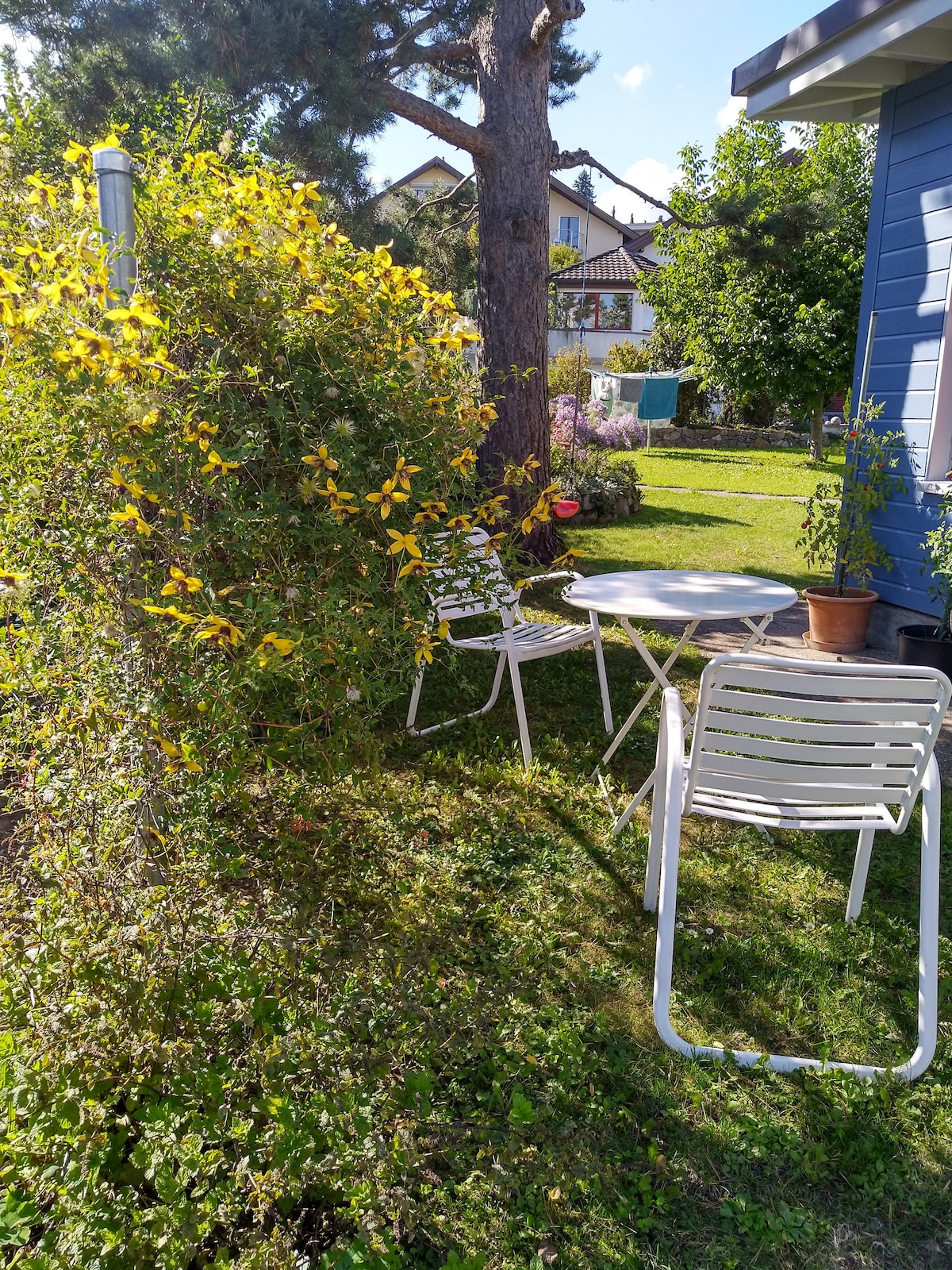 A small outdoor seating area features a round table with two chairs surrounded by greenery and blooming yellow flowers. A potted plant sits on the table, providing a pleasant backdrop. Sunlight filters through the trees, creating a calm and inviting space in the garden.