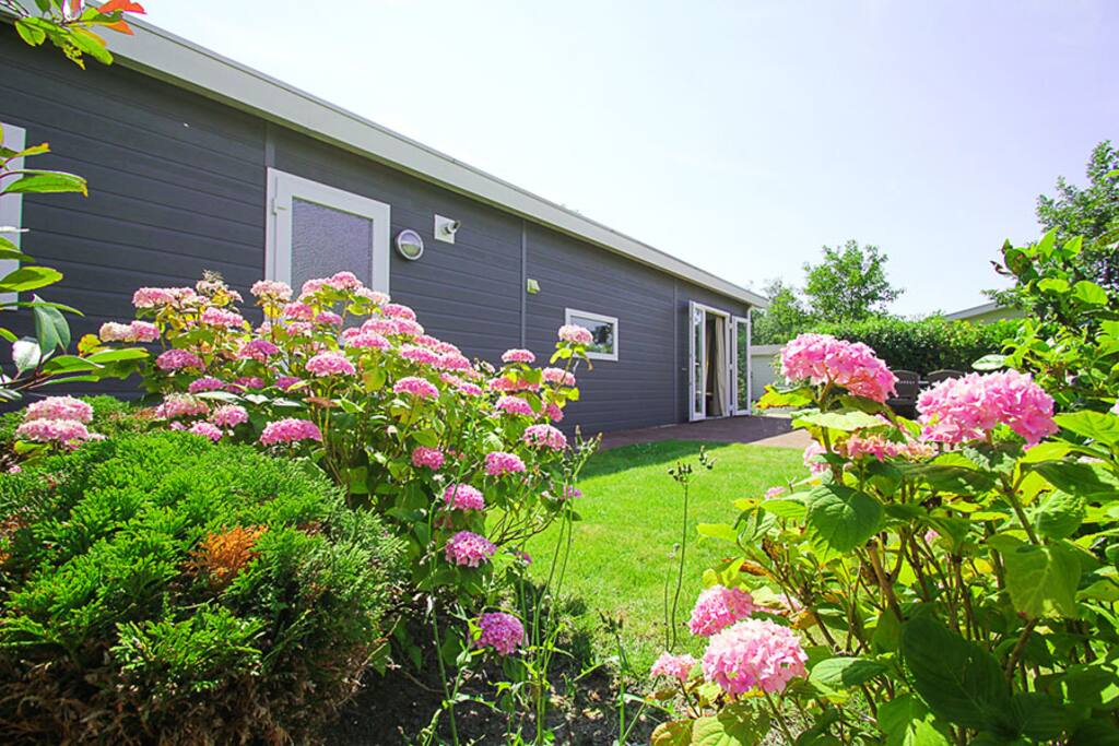 Big private garden to enjoy
