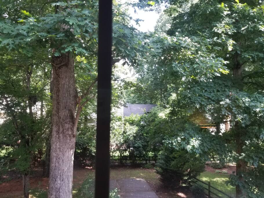 view from bedroom window