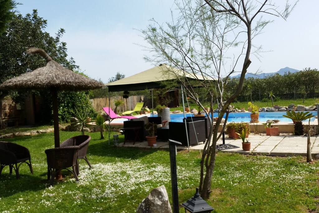 Pool und Garten
