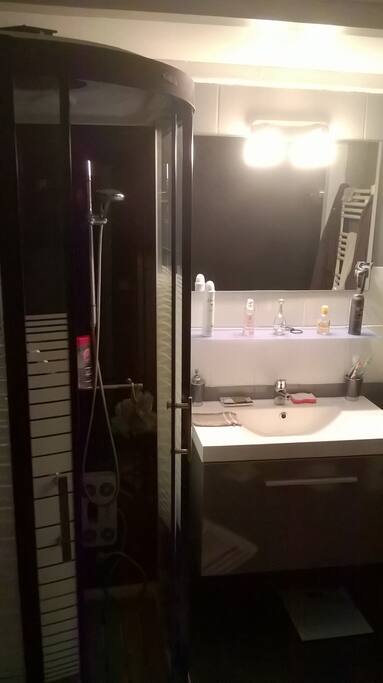 salle de bain et toilette